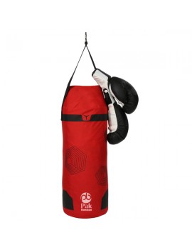 Bag and punching Mitts