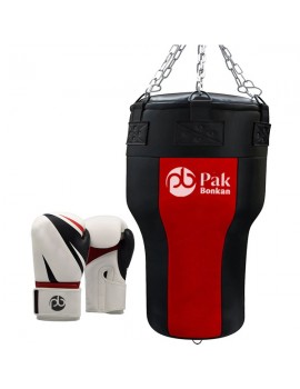 Bag and punching Mitts