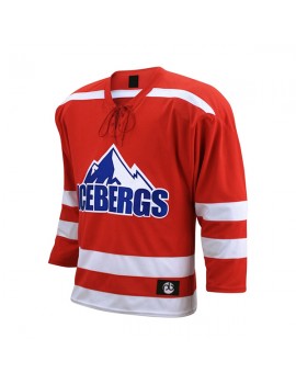 ICE Hokey jersy